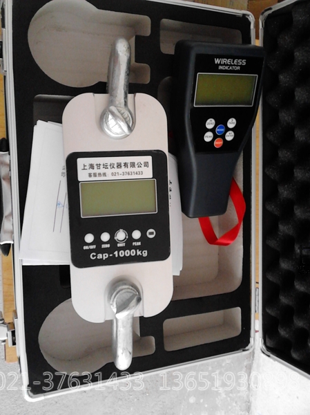 5T測(cè)力計(jì),5噸測(cè)力計(jì)廠家,5t測(cè)力計(jì)價(jià)格